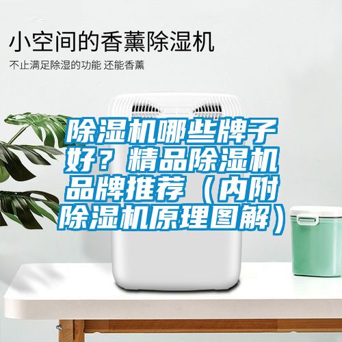 除濕機哪些牌子好？精品除濕機品牌推薦（內(nèi)附除濕機原理圖解）