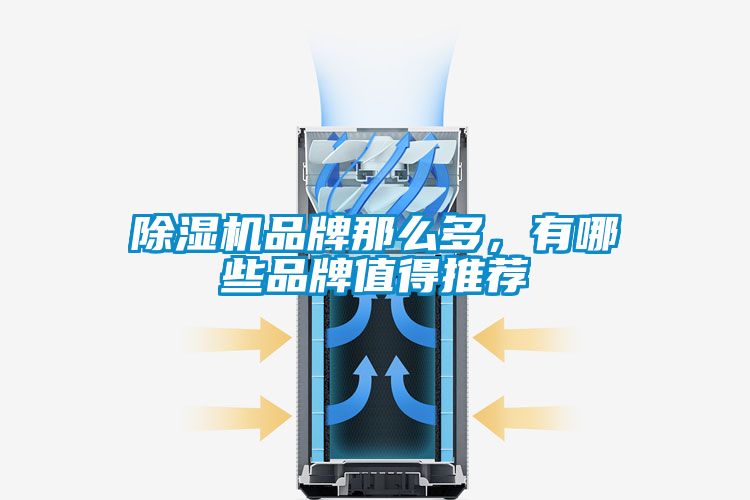 除濕機品牌那么多，有哪些品牌值得推薦