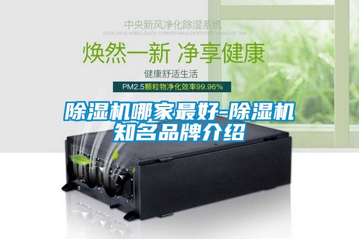 除濕機哪家最好-除濕機知名品牌介紹