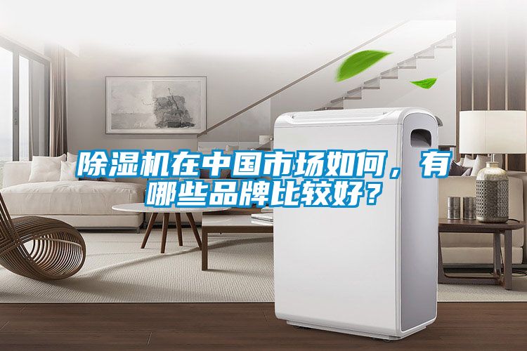 除濕機在中國市場如何，有哪些品牌比較好？