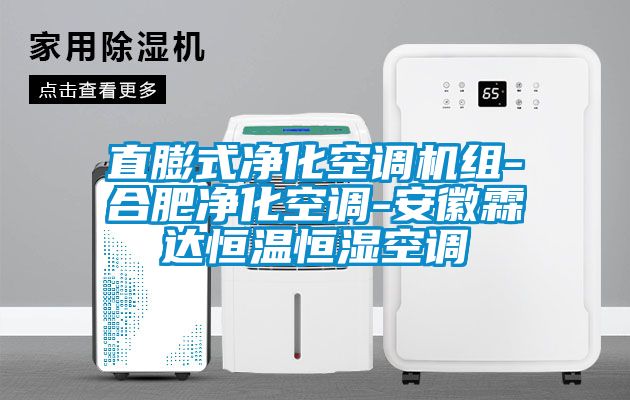 直膨式凈化空調(diào)機組-合肥凈化空調(diào)-安徽霖達恒溫恒濕空調(diào)