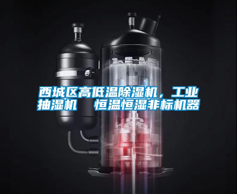 西城區(qū)高低溫除濕機(jī)，工業(yè)抽濕機(jī)  恒溫恒濕非標(biāo)機(jī)器