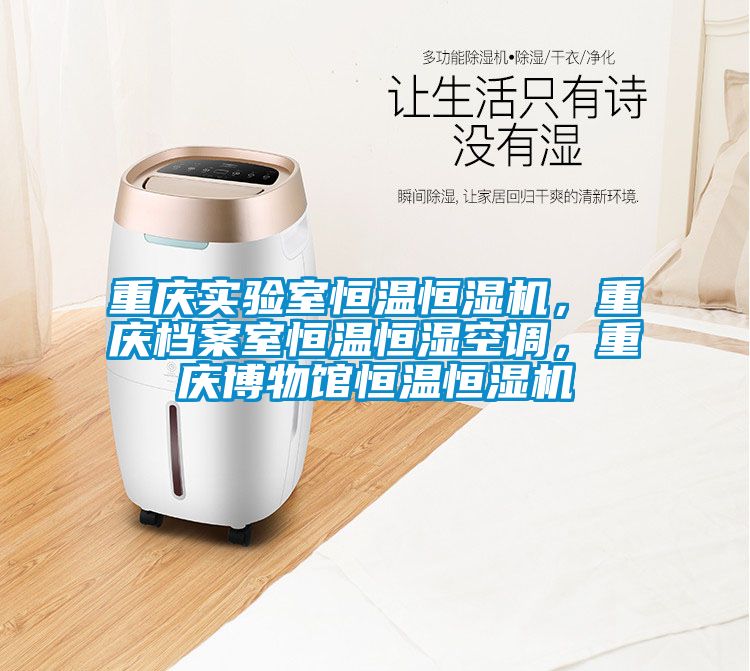 重慶實(shí)驗(yàn)室恒溫恒濕機(jī)，重慶檔案室恒溫恒濕空調(diào)，重慶博物館恒溫恒濕機(jī)