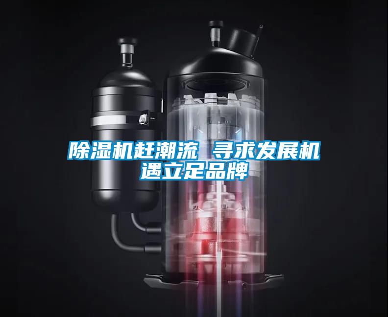 除濕機(jī)趕潮流 尋求發(fā)展機(jī)遇立足品牌