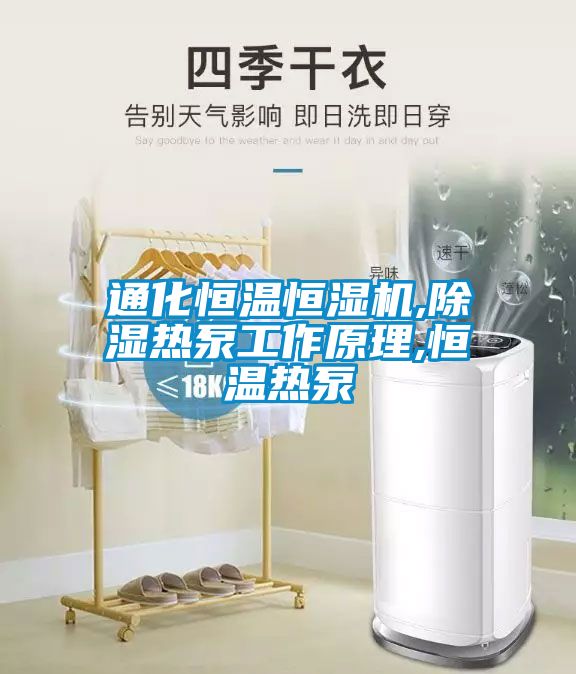 通化恒溫恒濕機(jī),除濕熱泵工作原理,恒溫?zé)岜?/></p>
						    <p style=