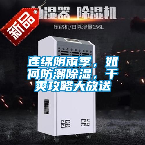 連綿陰雨季，如何防潮除濕，干爽攻略大放送