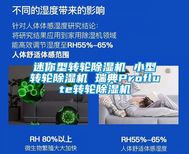 迷你型轉(zhuǎn)輪除濕機 小型轉(zhuǎn)輪除濕機 瑞典Proflute轉(zhuǎn)輪除濕機