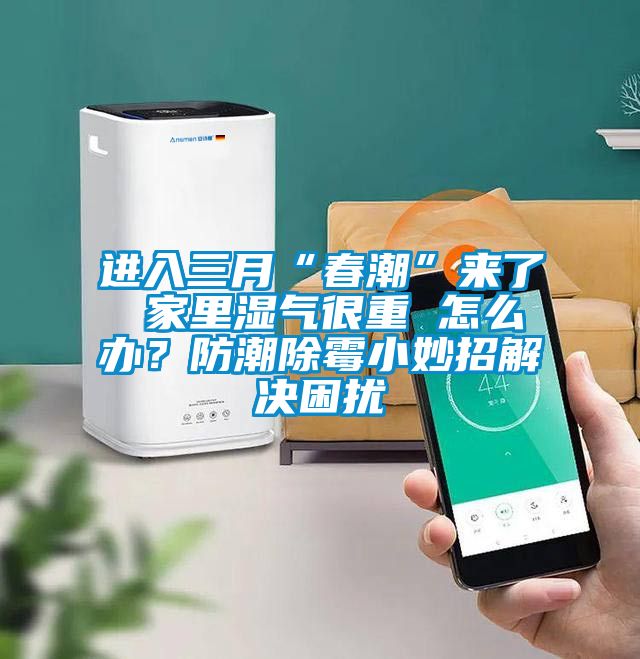 進入三月“春潮”來了 家里濕氣很重 怎么辦？防潮除霉小妙招解決困擾