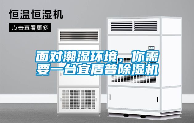面對潮濕環(huán)境，你需要一臺宜盾普除濕機(jī)