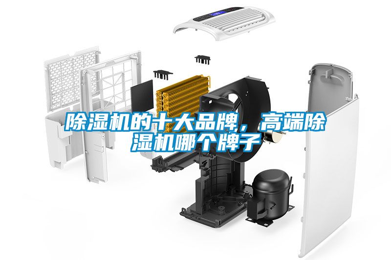 除濕機(jī)的十大品牌，高端除濕機(jī)哪個(gè)牌子