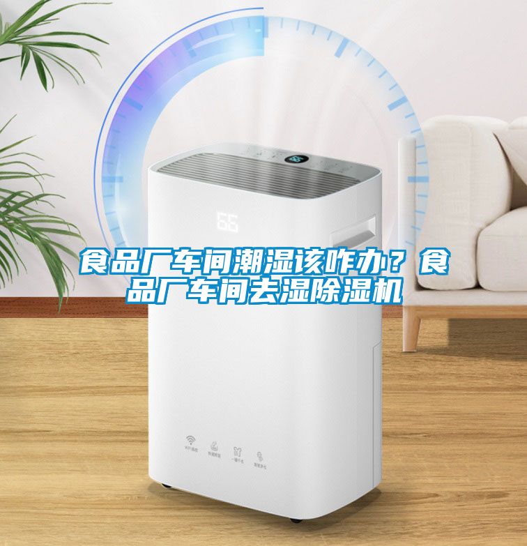 食品廠車間潮濕該咋辦？食品廠車間去濕除濕機(jī)