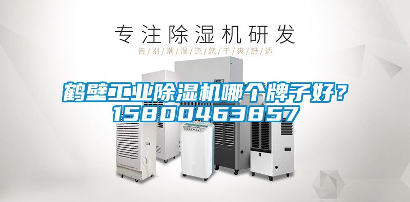鶴壁工業(yè)除濕機(jī)哪個牌子好？15800463857