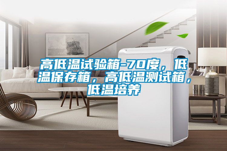 高低溫試驗(yàn)箱-70度，低溫保存箱，高低溫測(cè)試箱，低溫培養(yǎng)