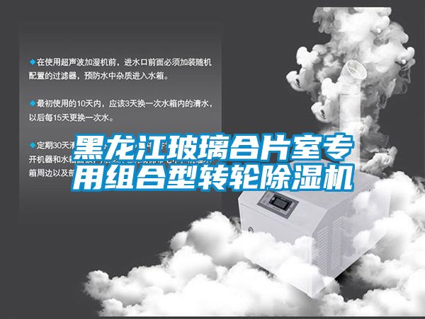 黑龍江玻璃合片室專(zhuān)用組合型轉(zhuǎn)輪除濕機(jī)