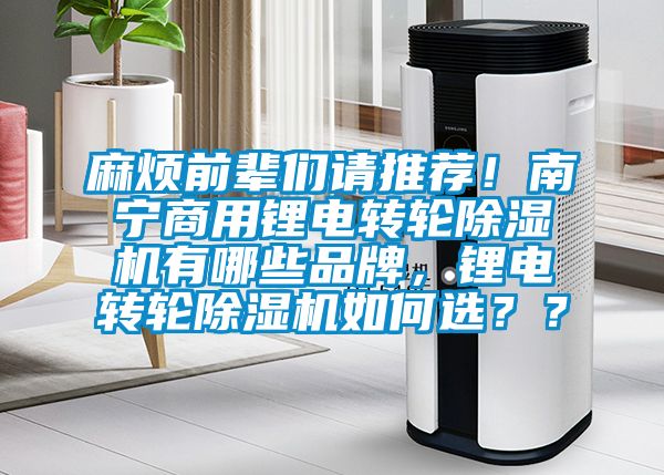 麻煩前輩們請推薦！南寧商用鋰電轉(zhuǎn)輪除濕機(jī)有哪些品牌，鋰電轉(zhuǎn)輪除濕機(jī)如何選？？