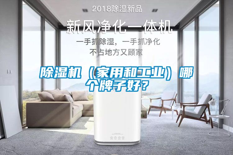 除濕機（家用和工業(yè)）哪個牌子好？