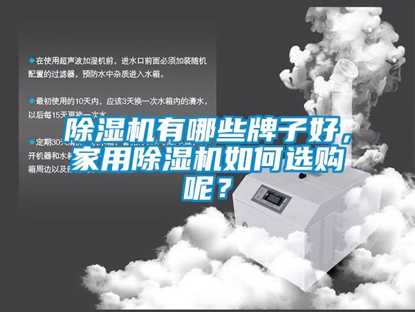 除濕機(jī)有哪些牌子好，家用除濕機(jī)如何選購呢？