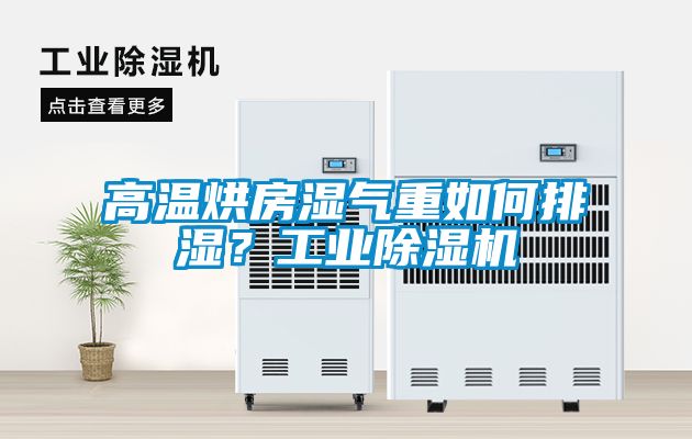 高溫烘房濕氣重如何排濕？工業(yè)除濕機